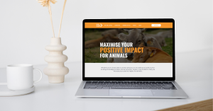 In the spotlight - interview with Ana Barreiro